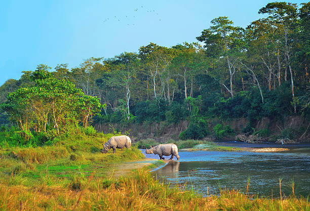 Explore Chitwan